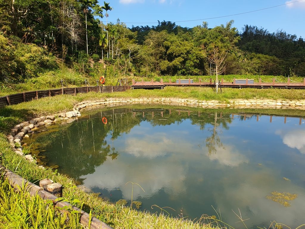 澀水森林步道 (1).jpg