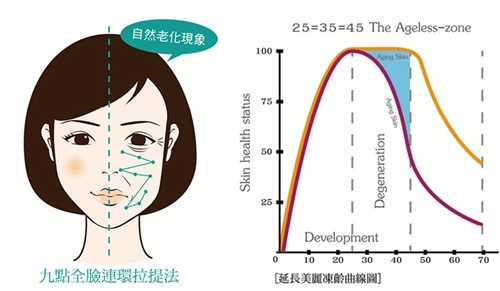 膠原蛋白再生術 膠原蛋白再生術