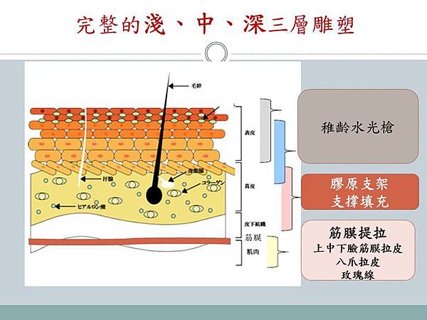 年輕化三合一1.JPG