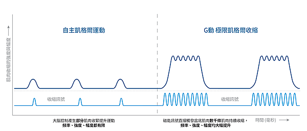 G動椅 強化盆底肌 G動28-24.png