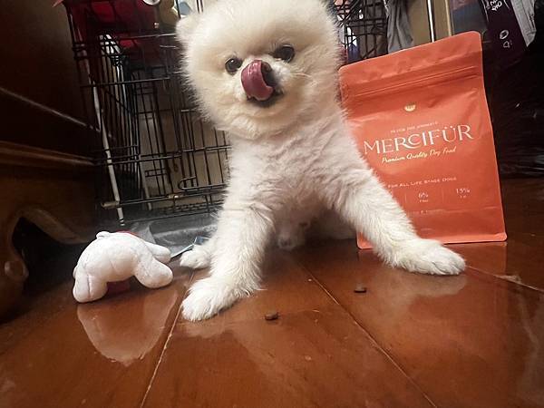 S__307060857.jpg S__307060857.jpg