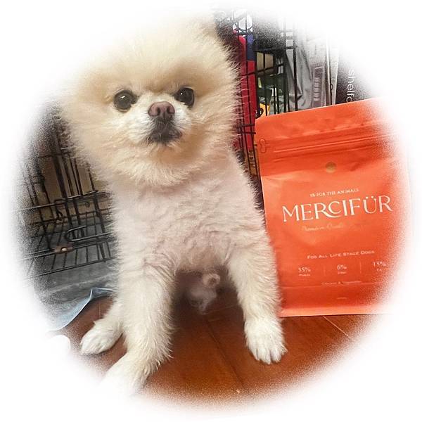 S__307060861.jpg S__307060861.jpg