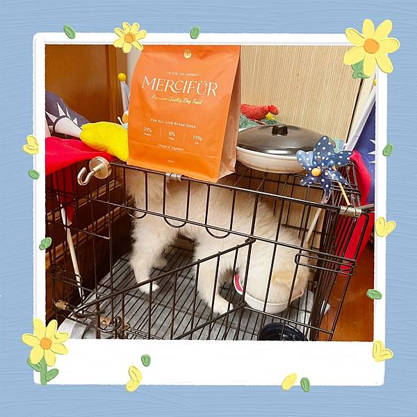 S__307060860.jpg S__307060860.jpg