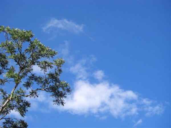 繼續拍風景