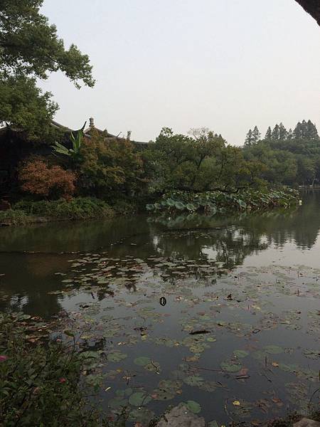 西湖的春夏秋冬各有景致