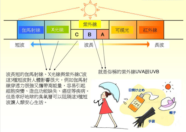 紫外線