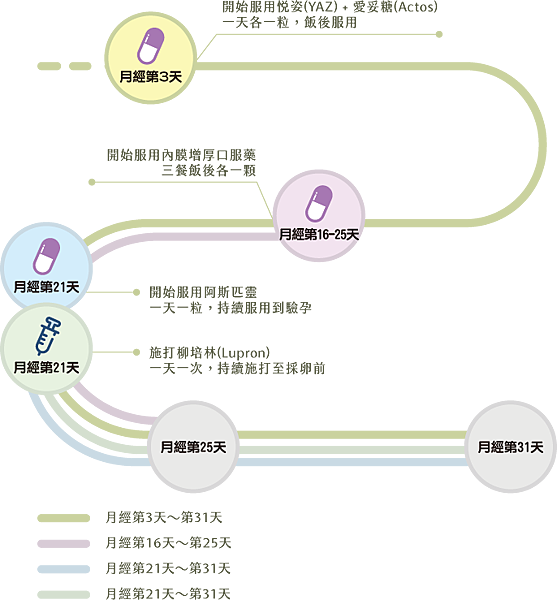 試管嬰兒流程 費用懶人包 十二月17