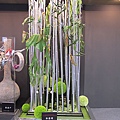 (105) 创意的摆设 Creative Displays Of Green.JPG