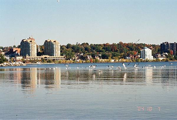 Barrie 小鎮的Simcoe Lake