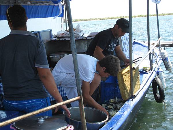 以藍蟹腳餵食海龜