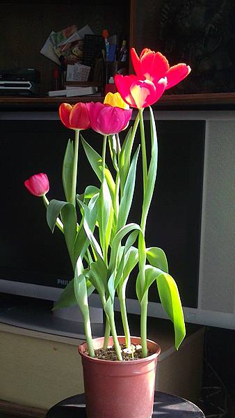 DSC_0047 DSC_0047