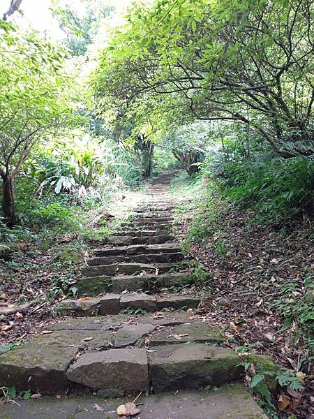 面天山攻頂成功