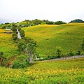 六十石山山嵐亭附近景致