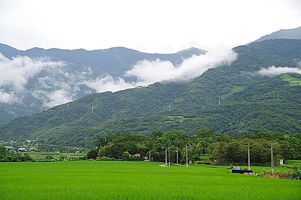 花蓮綠地