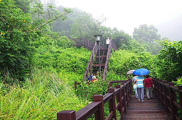 羅山休憩區羅山步道