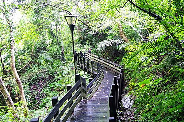 羅山休憩區羅山步道