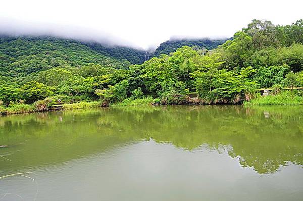 羅山休憩區大魚池