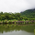 羅山休憩區大魚池