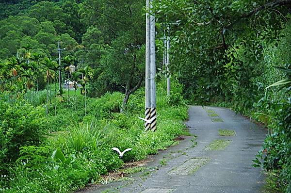 羅山休憩區