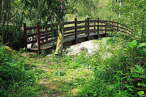 圓潭溪生態園區植物園環山步道