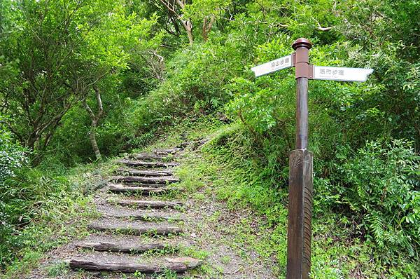 吊橋下，沿山步道與瀑布步道之分岔！