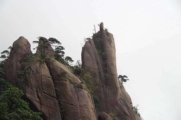 11三清山南清園景區038.JPG