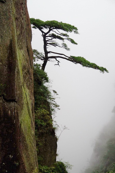 11三清山南清園景區062.JPG