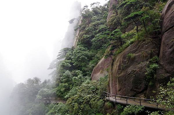 11三清山南清園景區066.JPG