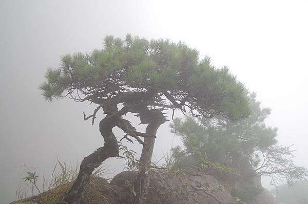 14三清山陽光海岸景區020.JPG