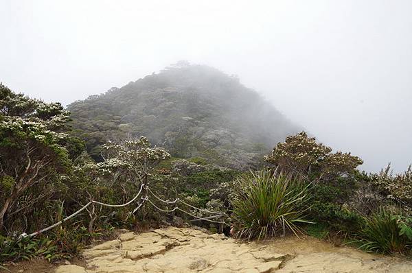 20150226~27 登頂神山，睥睨群峰！