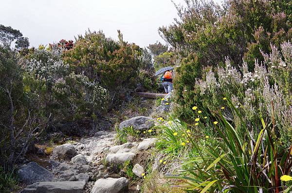 20150226~27 登頂神山，睥睨群峰！