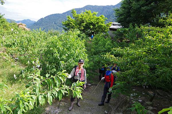 20150613 酷熱中賞玩阿白縱走（阿冷山縱走白毛山）