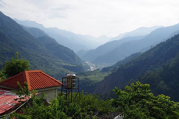 20150613 酷熱中賞玩阿白縱走（阿冷山縱走白毛山）