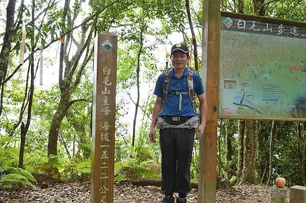 20150613 酷熱中賞玩阿白縱走（阿冷山縱走白毛山）