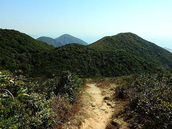 20170216 紫羅蘭山、黃泥涌峽徑