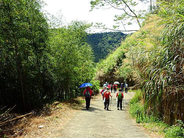 DSCN0051.JPG DSCN0051.JPG