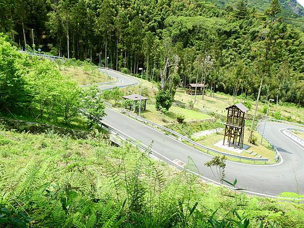 DSCN0057.JPG DSCN0057.JPG