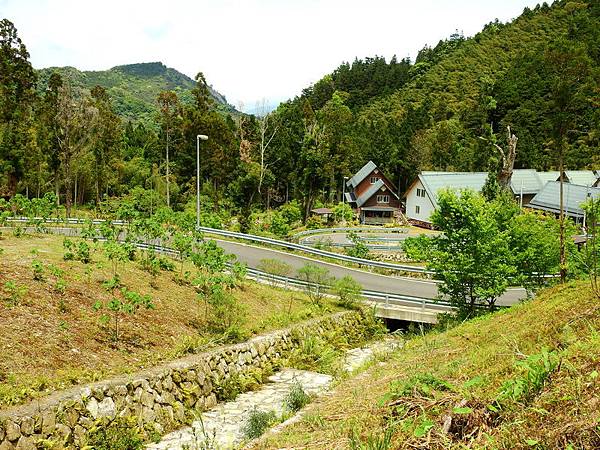 DSCN0056.JPG DSCN0056.JPG