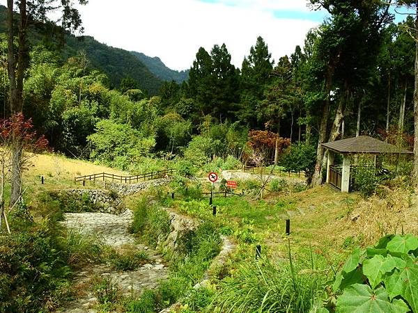 DSCN0061.JPG DSCN0061.JPG