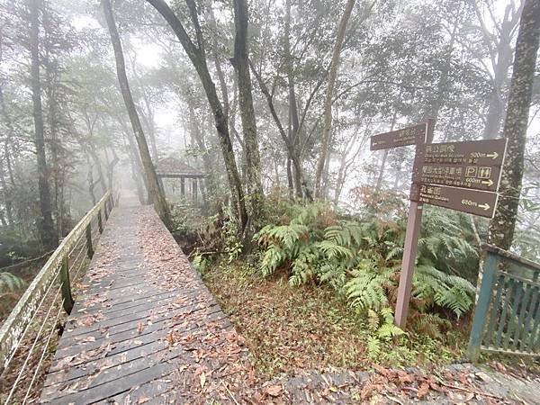 20200314 細雨中徒步日月潭環潭景點（步道）36K日月