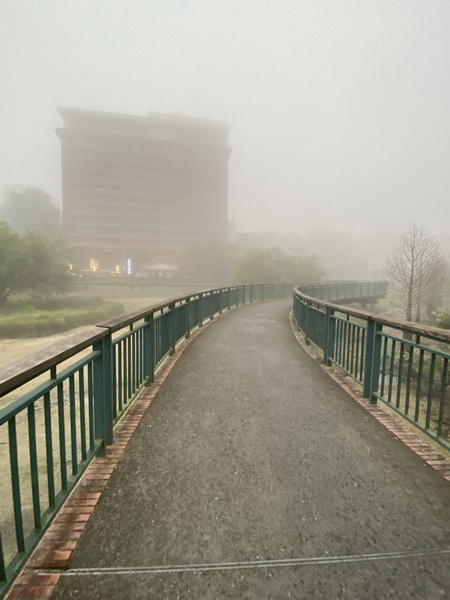 20200314 細雨中徒步日月潭環潭景點（步道）36K日月