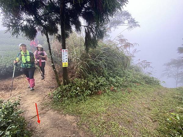 20211223 嘉義天際線12峰，樟腦寮太平山Ｏ繞