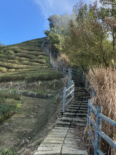 20211223 嘉義天際線12峰，樟腦寮太平山Ｏ繞