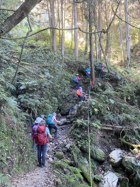 20221005 民都有山縱走西高橋山下石鹿古道