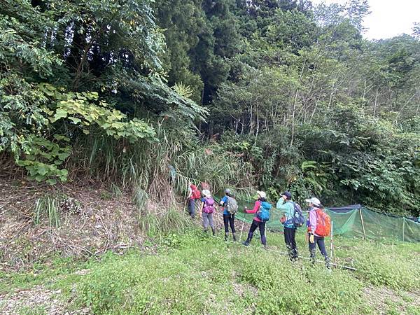 20221005 民都有山縱走西高橋山下石鹿古道