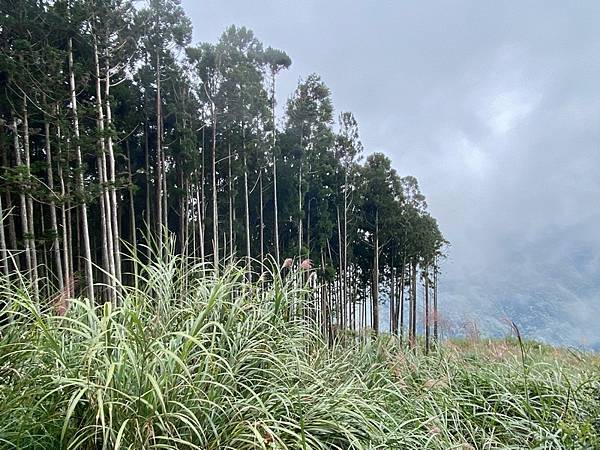 20221005 民都有山縱走西高橋山下石鹿古道