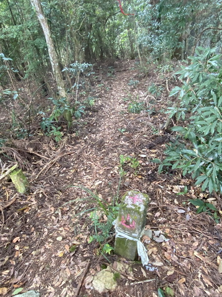 20221005 民都有山縱走西高橋山下石鹿古道