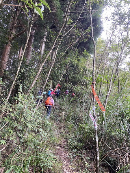 20221005 民都有山縱走西高橋山下石鹿古道