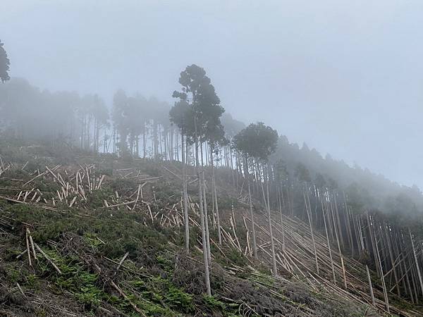 20221005 民都有山縱走西高橋山下石鹿古道