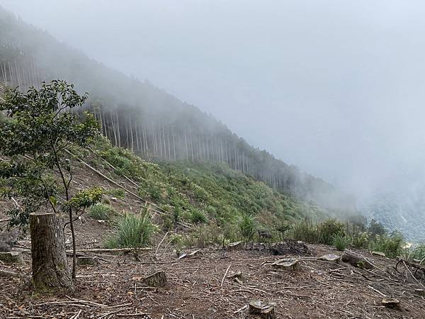 20221005 民都有山縱走西高橋山下石鹿古道